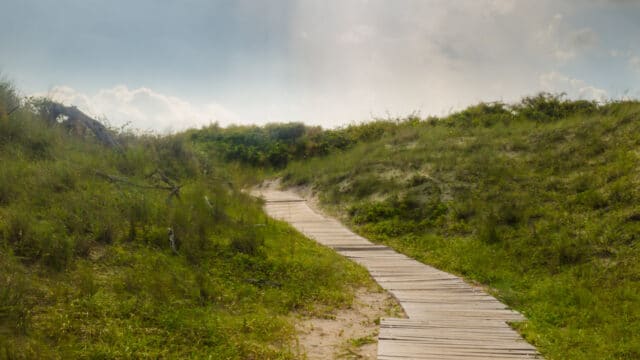 Back Bay Virginia Beach Park