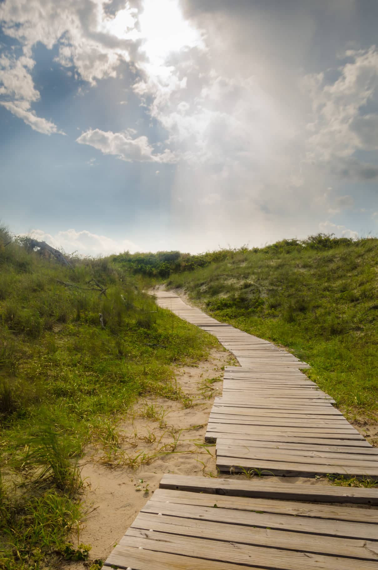 Back Bay Virginia Beach Park